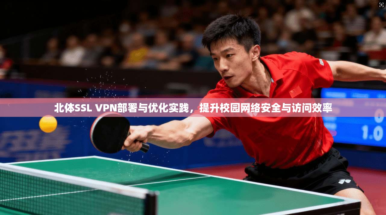 北体SSL VPN部署与优化实践，提升校园网络安全与访问效率