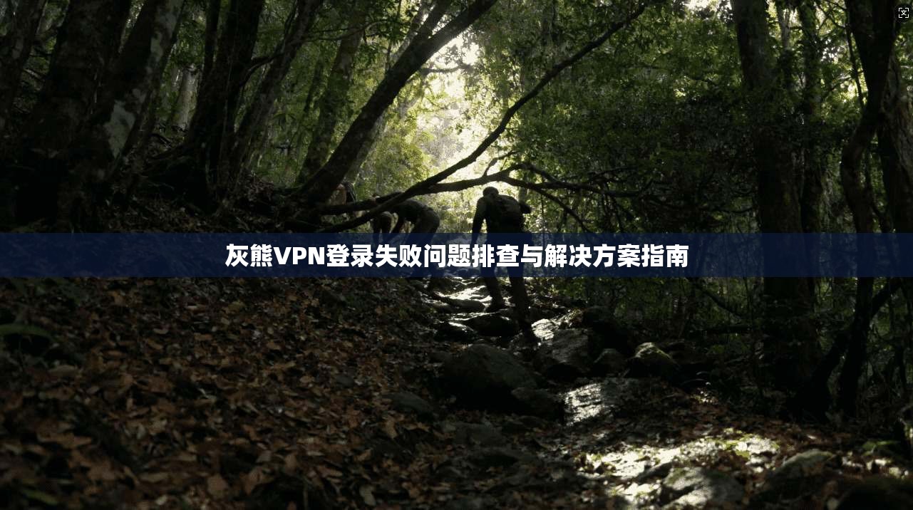 灰熊VPN登录失败问题排查与解决方案指南
