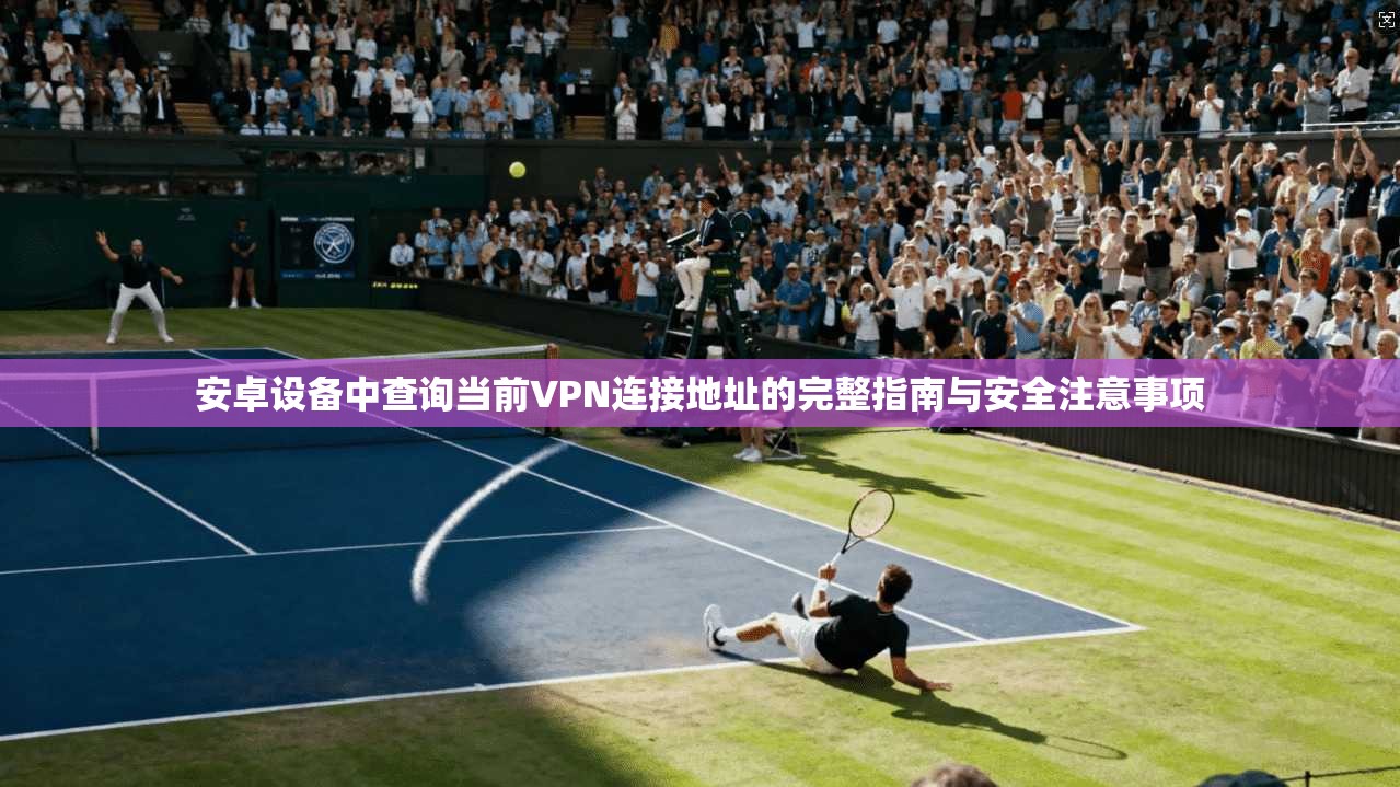 安卓设备中查询当前VPN连接地址的完整指南与安全注意事项