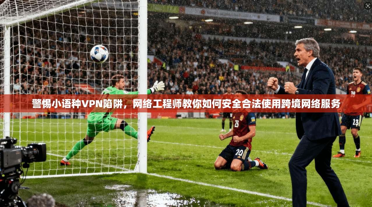 警惕小语种VPN陷阱，网络工程师教你如何安全合法使用跨境网络服务