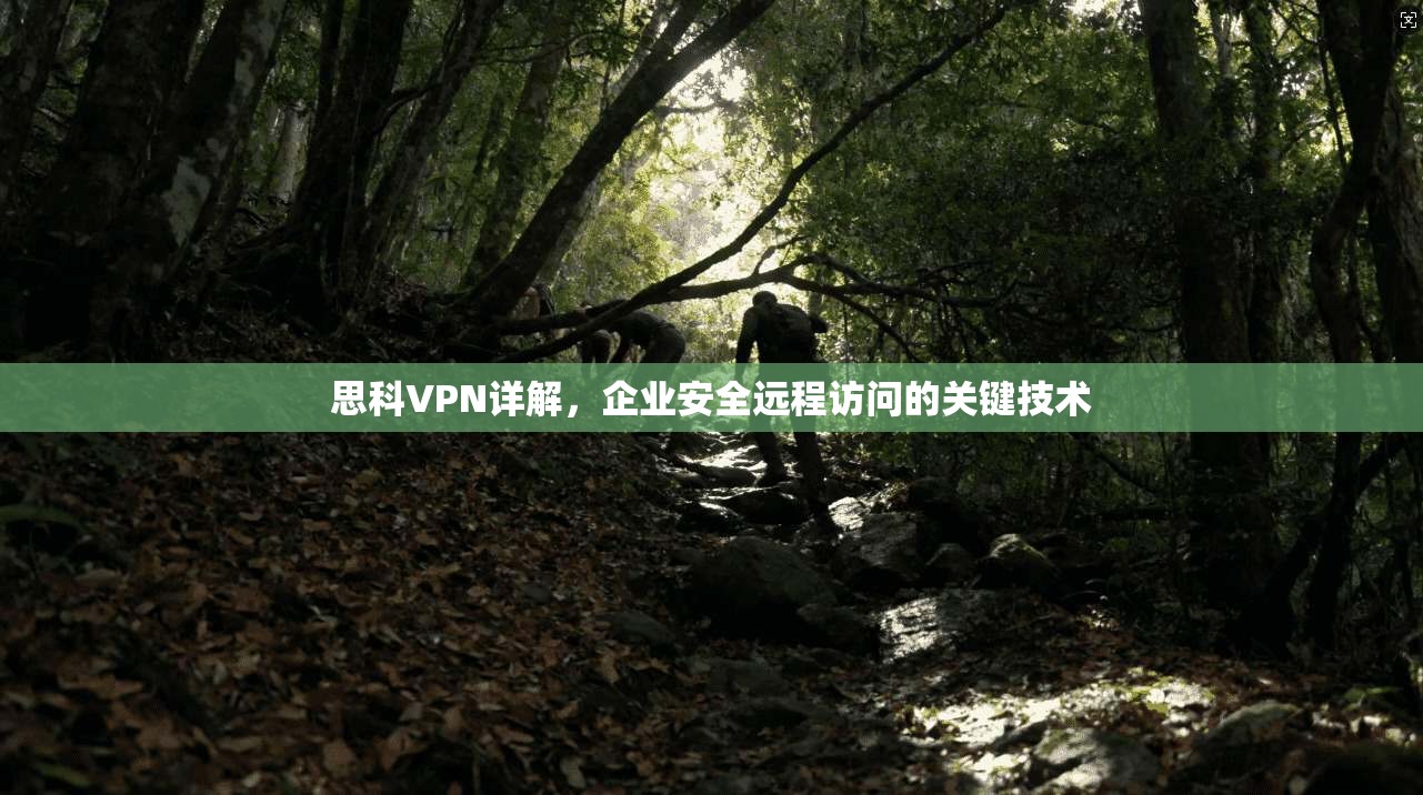 思科VPN详解，企业安全远程访问的关键技术