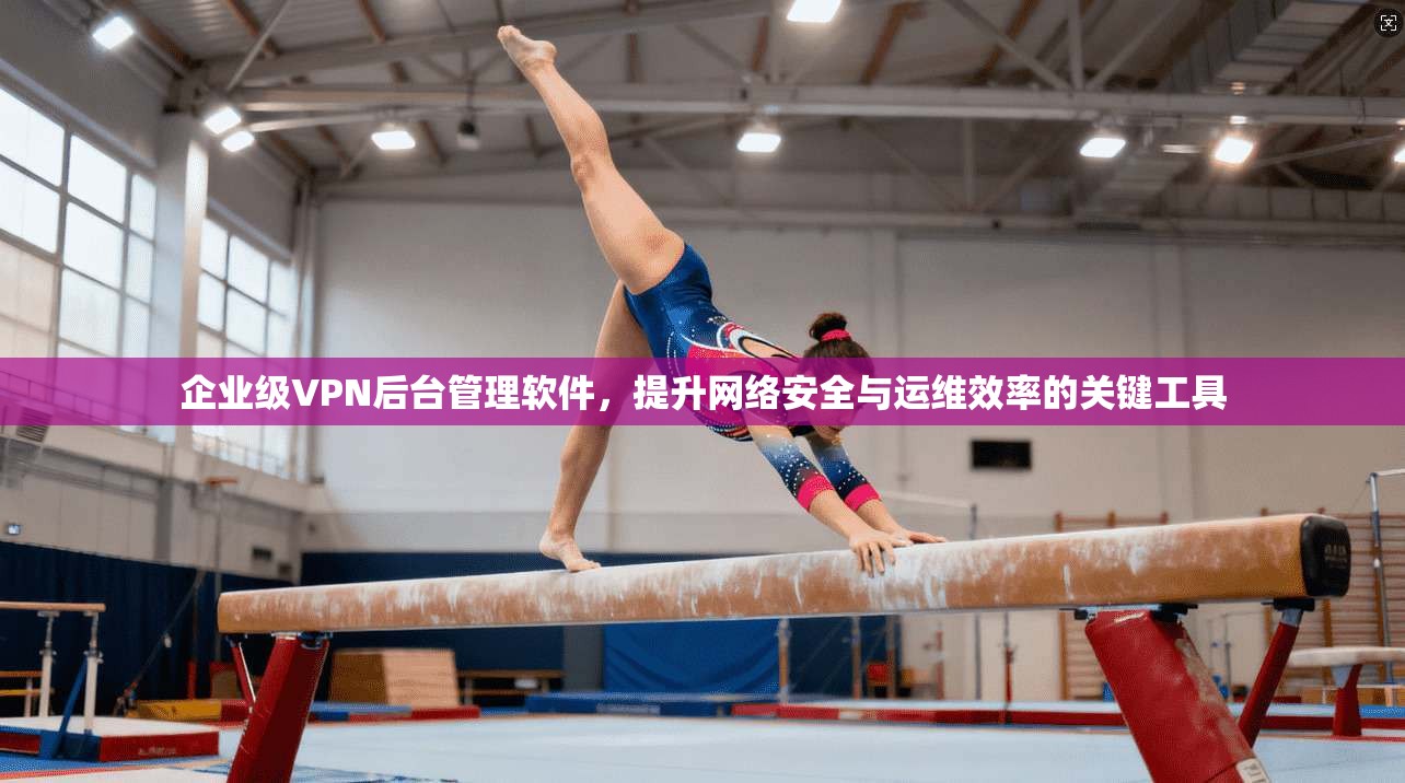 企业级VPN后台管理软件，提升网络安全与运维效率的关键工具