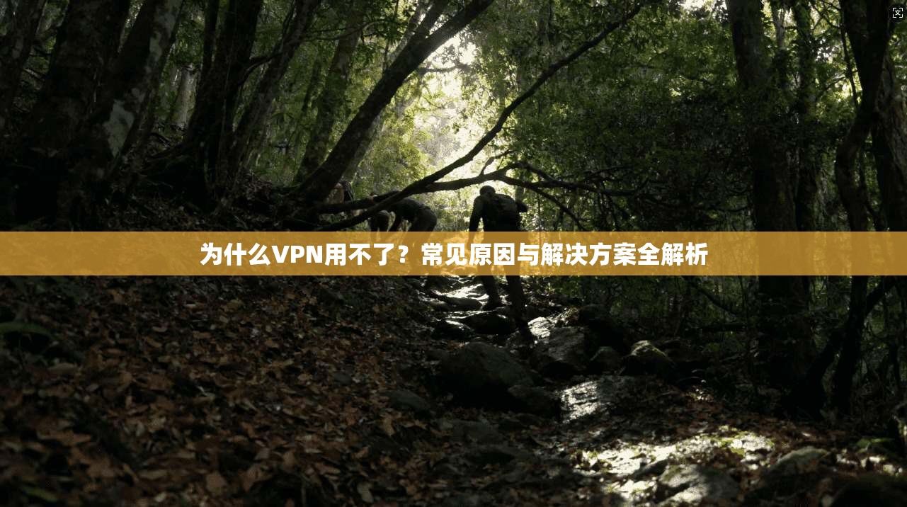 为什么VPN用不了？常见原因与解决方案全解析