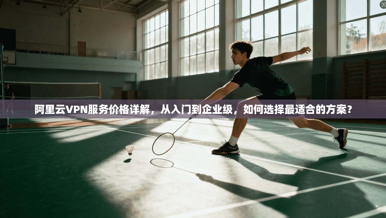 阿里云VPN服务价格详解，从入门到企业级，如何选择最适合的方案？