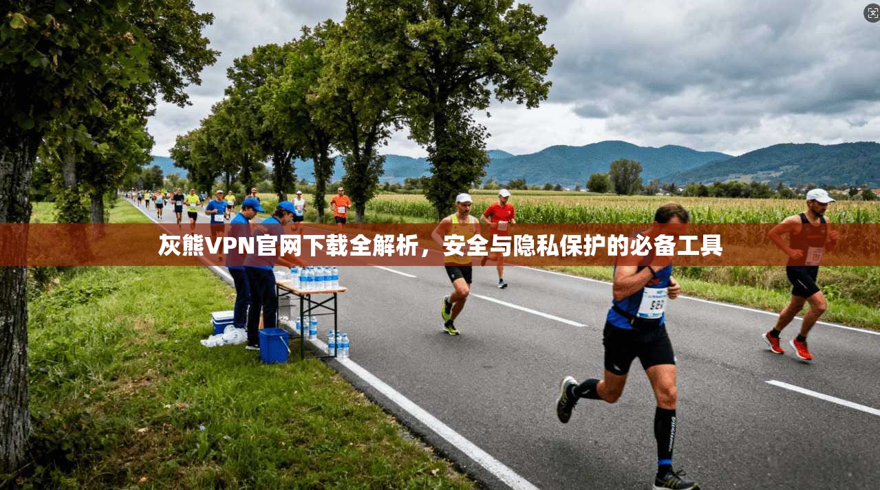 灰熊VPN官网下载全解析，安全与隐私保护的必备工具