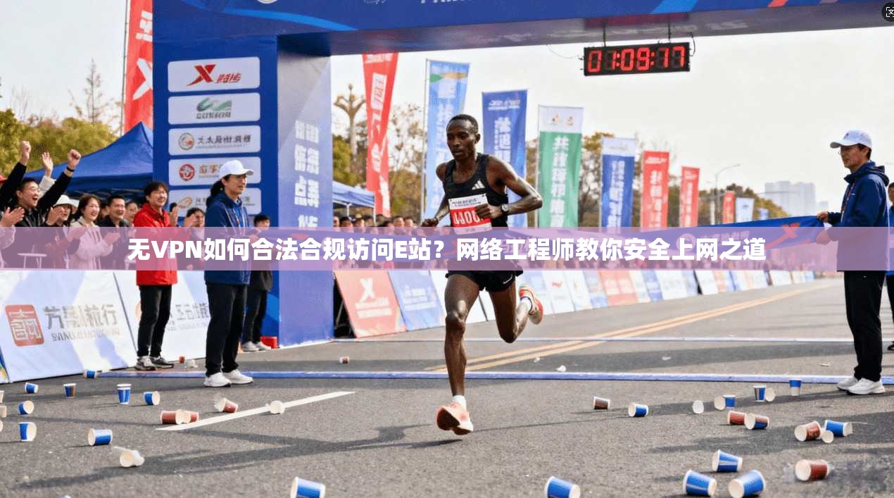 无VPN如何合法合规访问E站？网络工程师教你安全上网之道