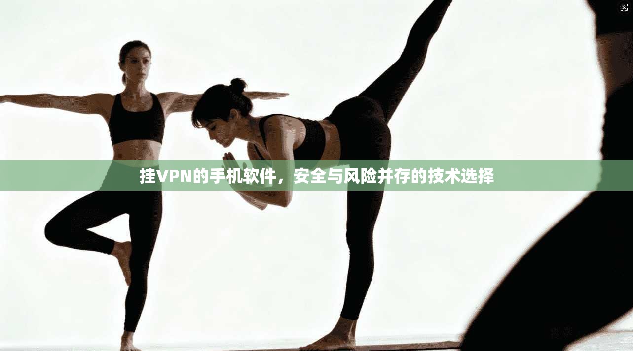 挂VPN的手机软件，安全与风险并存的技术选择