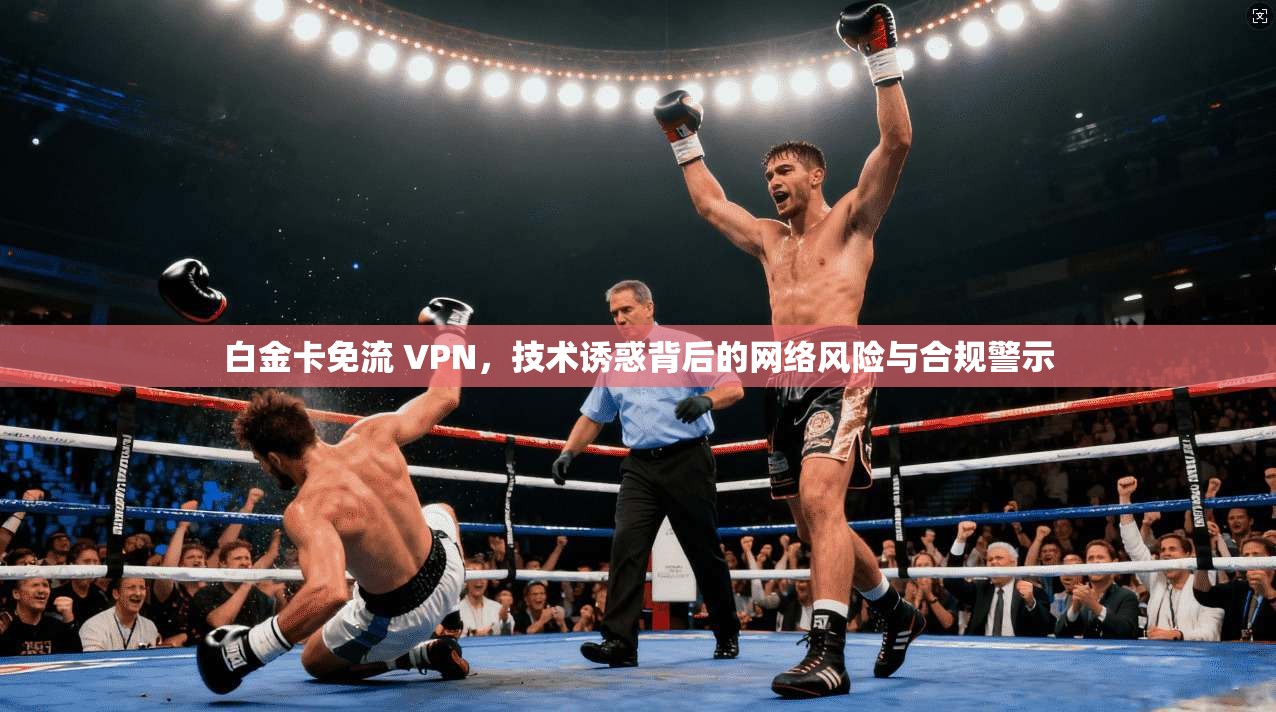 白金卡免流 VPN，技术诱惑背后的网络风险与合规警示