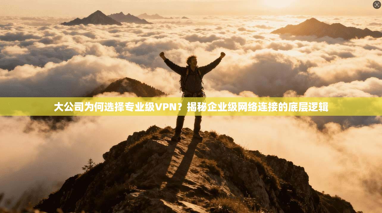 大公司为何选择专业级VPN？揭秘企业级网络连接的底层逻辑