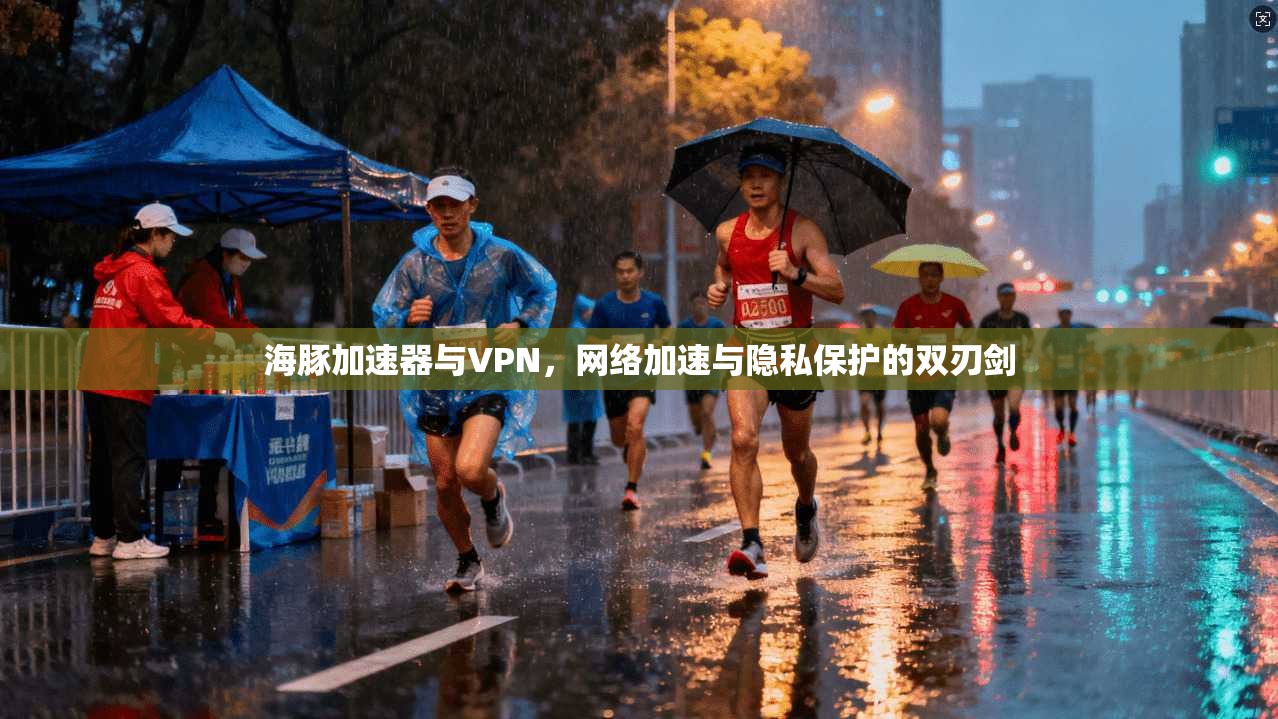 海豚加速器与VPN,网络加速与隐私保护的双刃剑