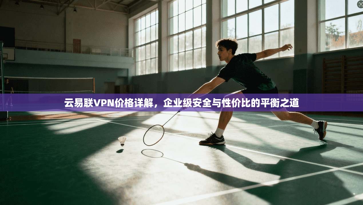 云易联VPN价格详解,企业级安全与性价比的平衡之道