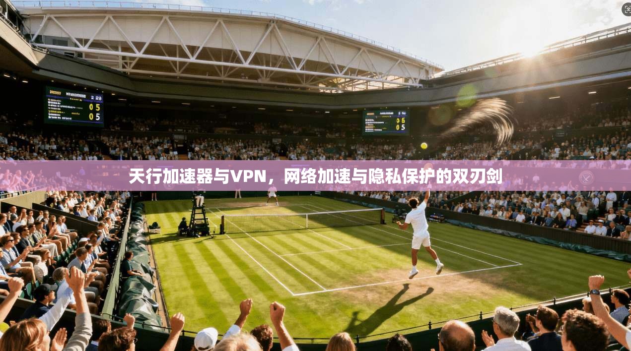 天行加速器与VPN，网络加速与隐私保护的双刃剑