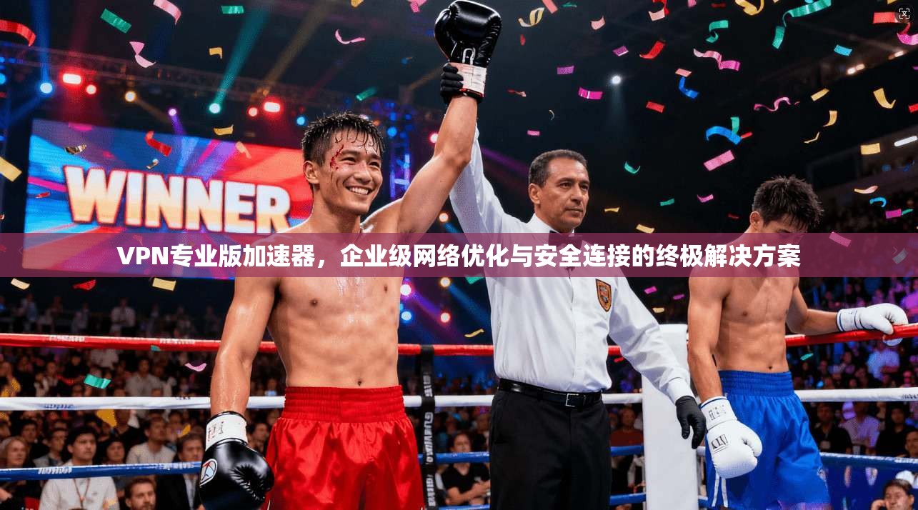 VPN专业版加速器，企业级网络优化与安全连接的终极解决方案
