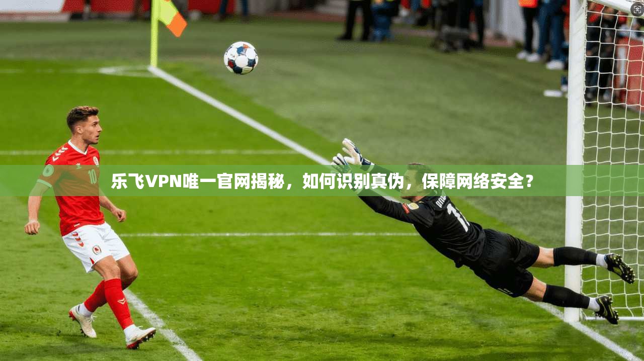 乐飞VPN唯一官网揭秘，如何识别真伪，保障网络安全？