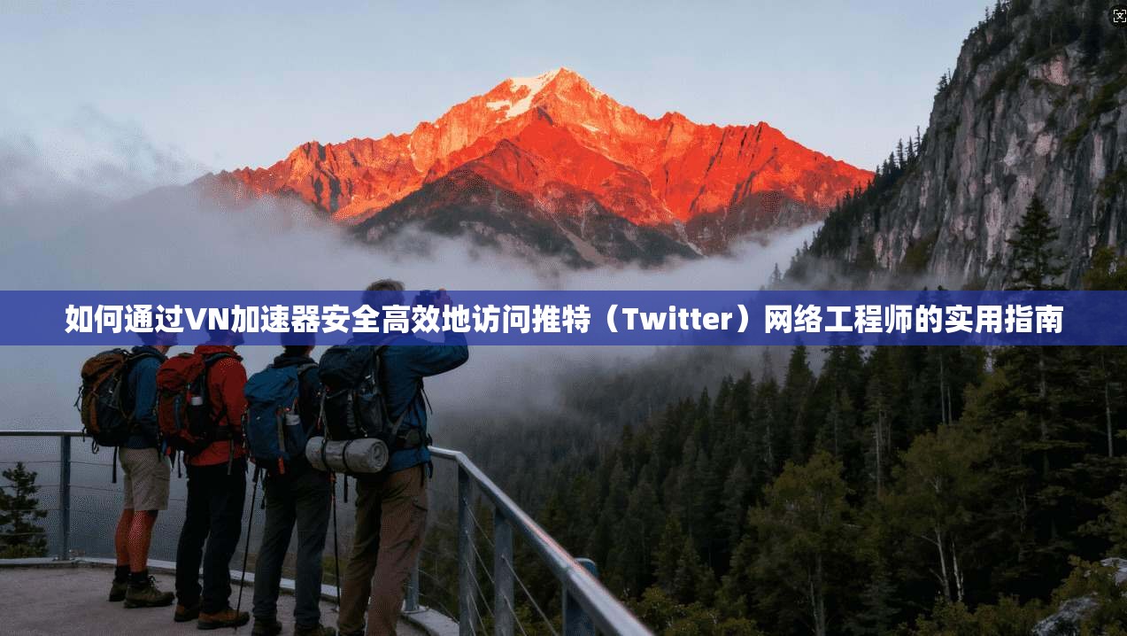 如何通过VN加速器安全高效地访问推特（Twitter）网络工程师的实用指南