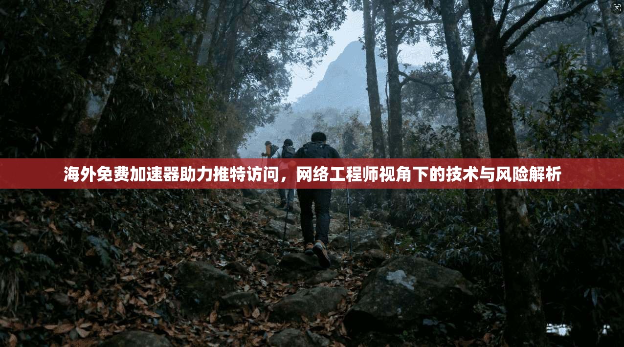海外免费加速器助力推特访问，网络工程师视角下的技术与风险解析