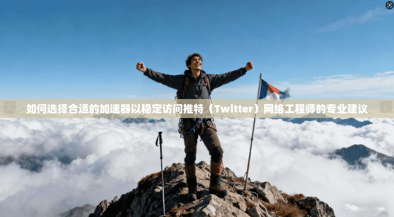 如何选择合适的加速器以稳定访问推特（Twitter）网络工程师的专业建议