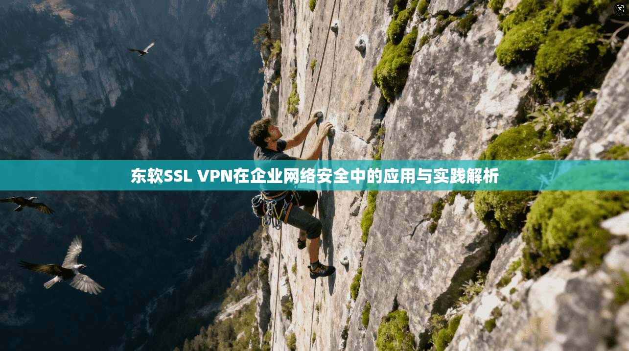 东软SSL VPN在企业网络安全中的应用与实践解析