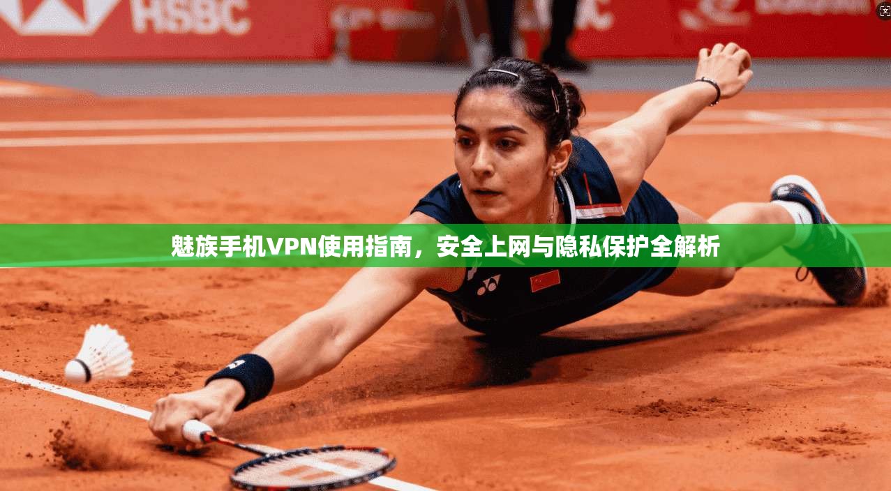 魅族手机VPN使用指南，安全上网与隐私保护全解析