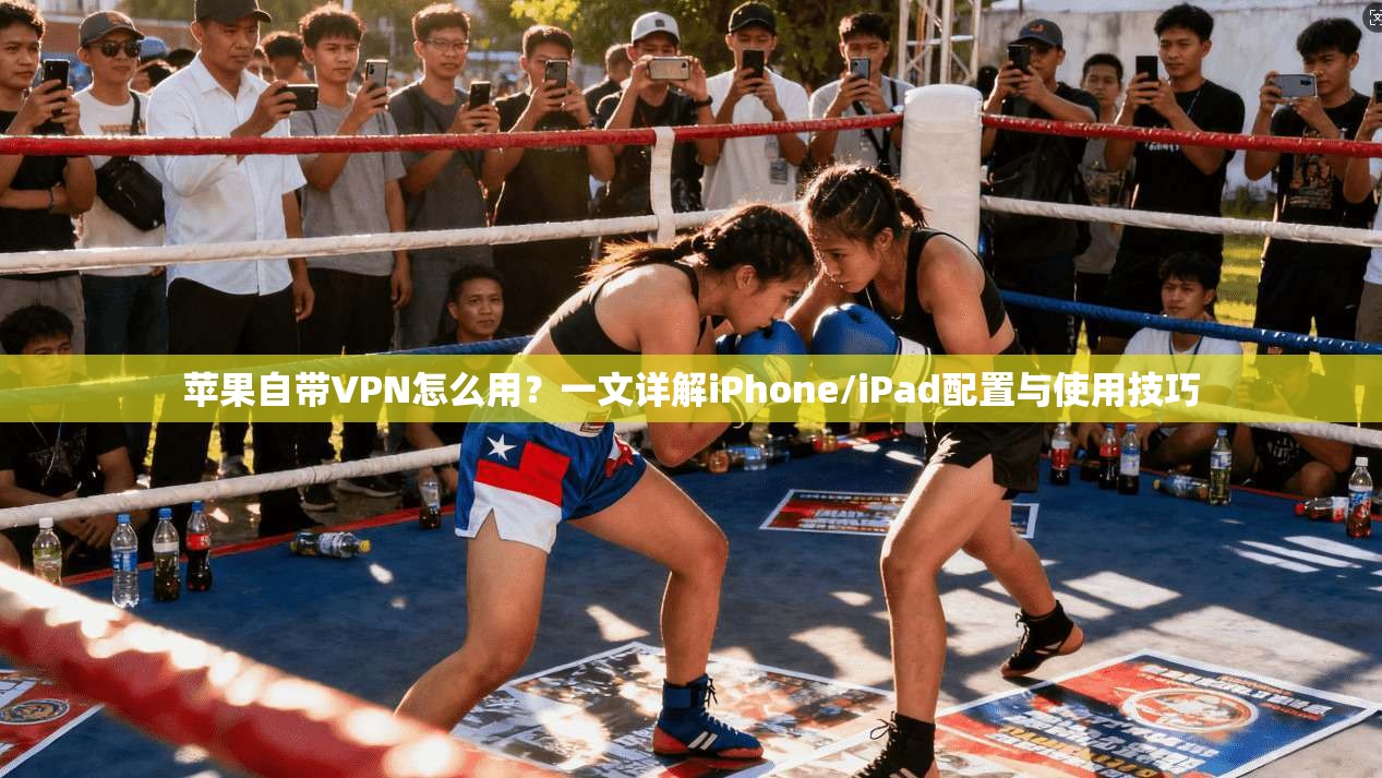 苹果自带VPN怎么用？一文详解iPhone/iPad配置与使用技巧