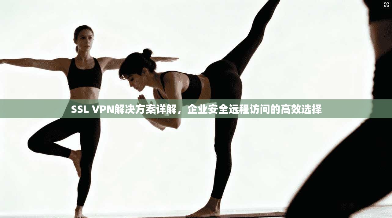 SSL VPN解决方案详解，企业安全远程访问的高效选择