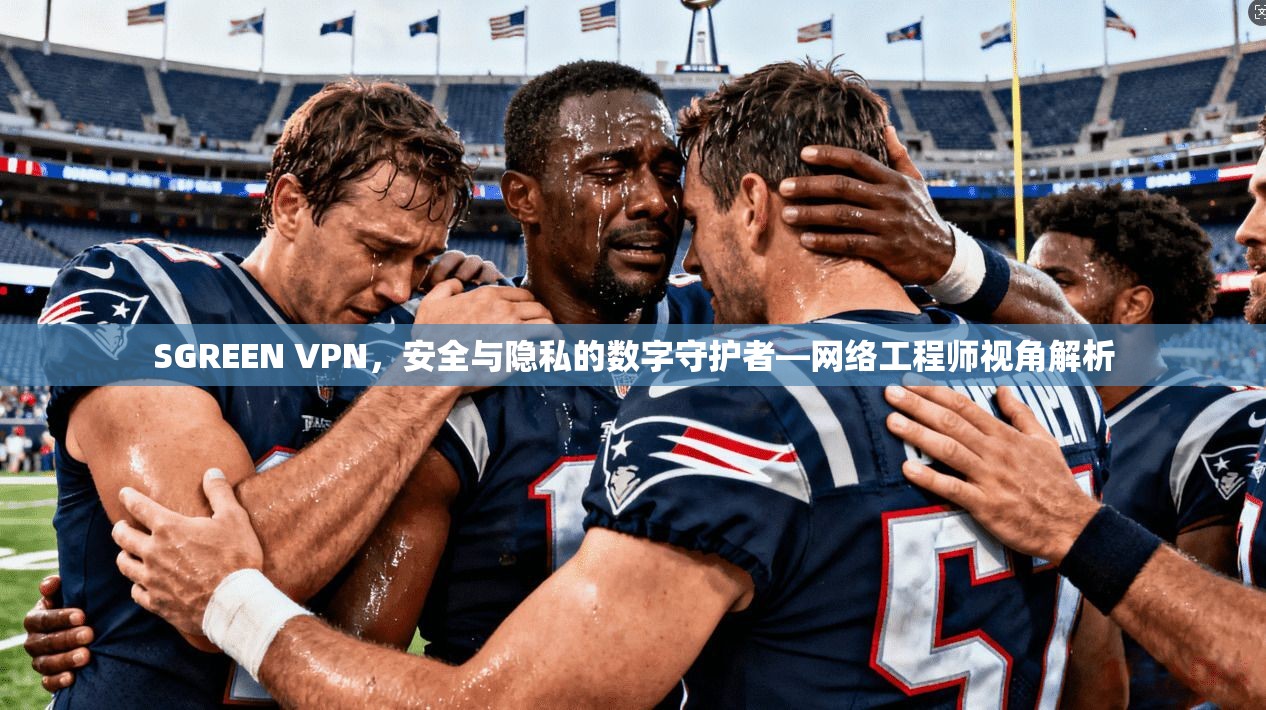 SGREEN VPN，安全与隐私的数字守护者—网络工程师视角解析