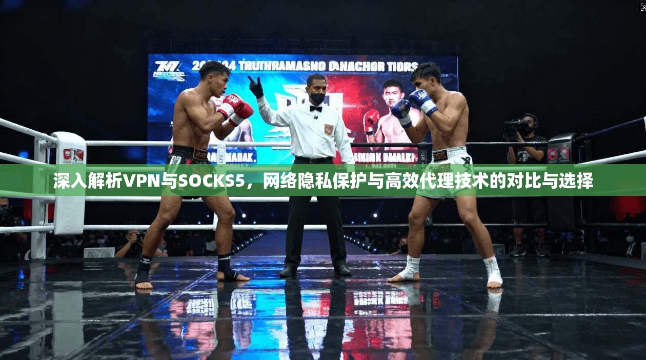 深入解析VPN与SOCKS5，网络隐私保护与高效代理技术的对比与选择