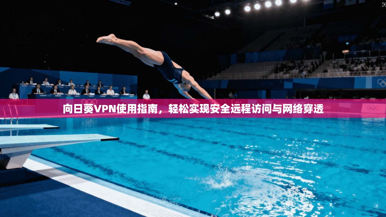 向日葵VPN使用指南，轻松实现安全远程访问与网络穿透