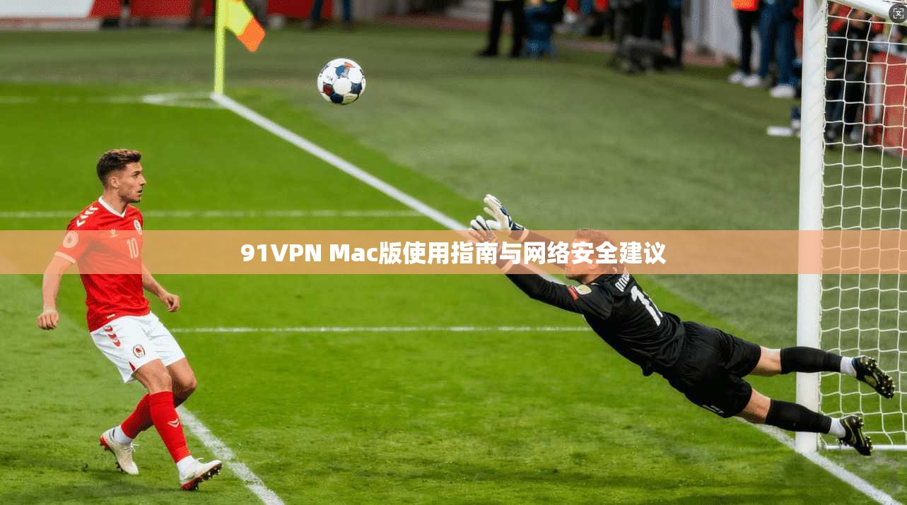 91VPN Mac版使用指南与网络安全建议