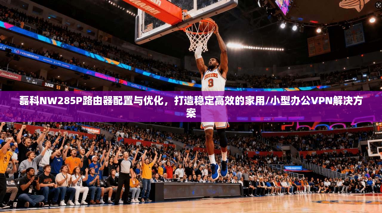 磊科NW285P路由器配置与优化，打造稳定高效的家用/小型办公VPN解决方案