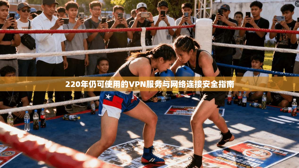 220年仍可使用的VPN服务与网络连接安全指南