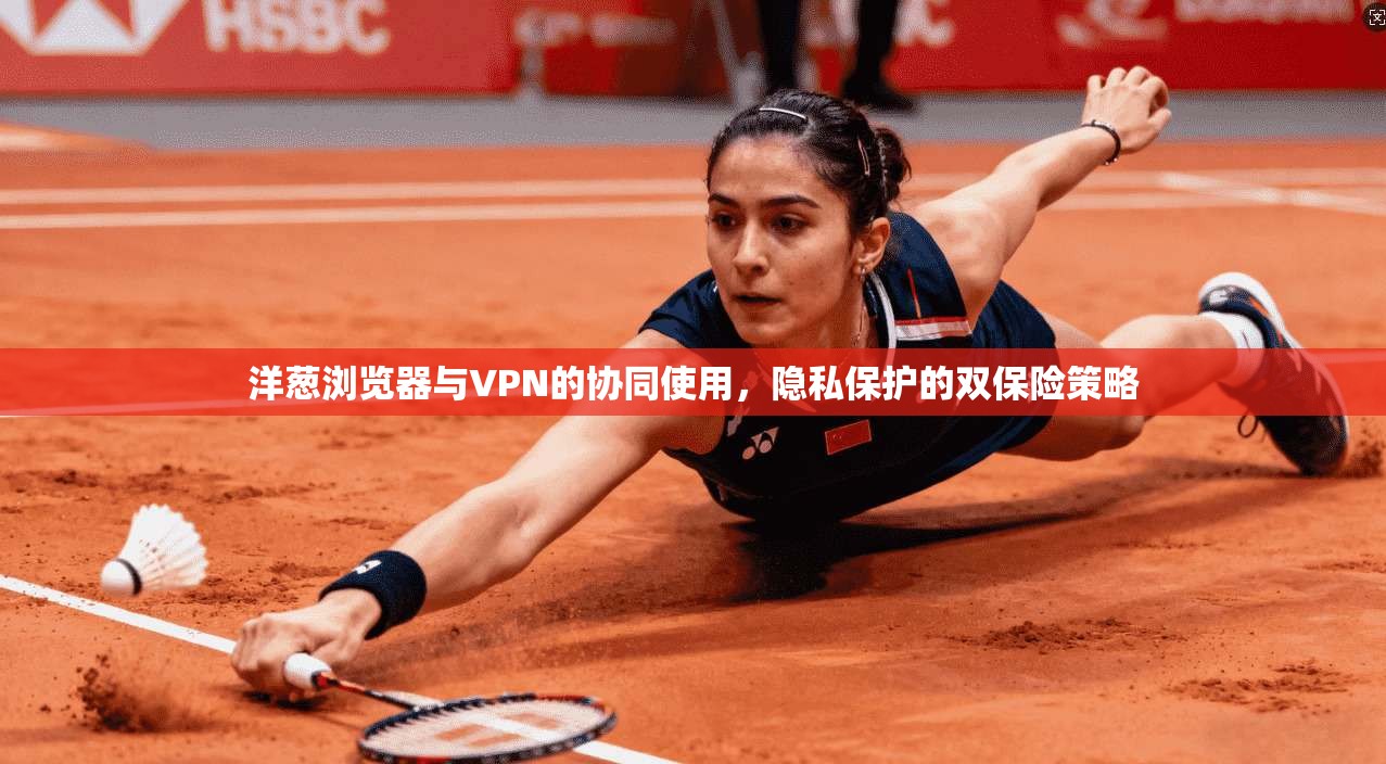 洋葱浏览器与VPN的协同使用，隐私保护的双保险策略