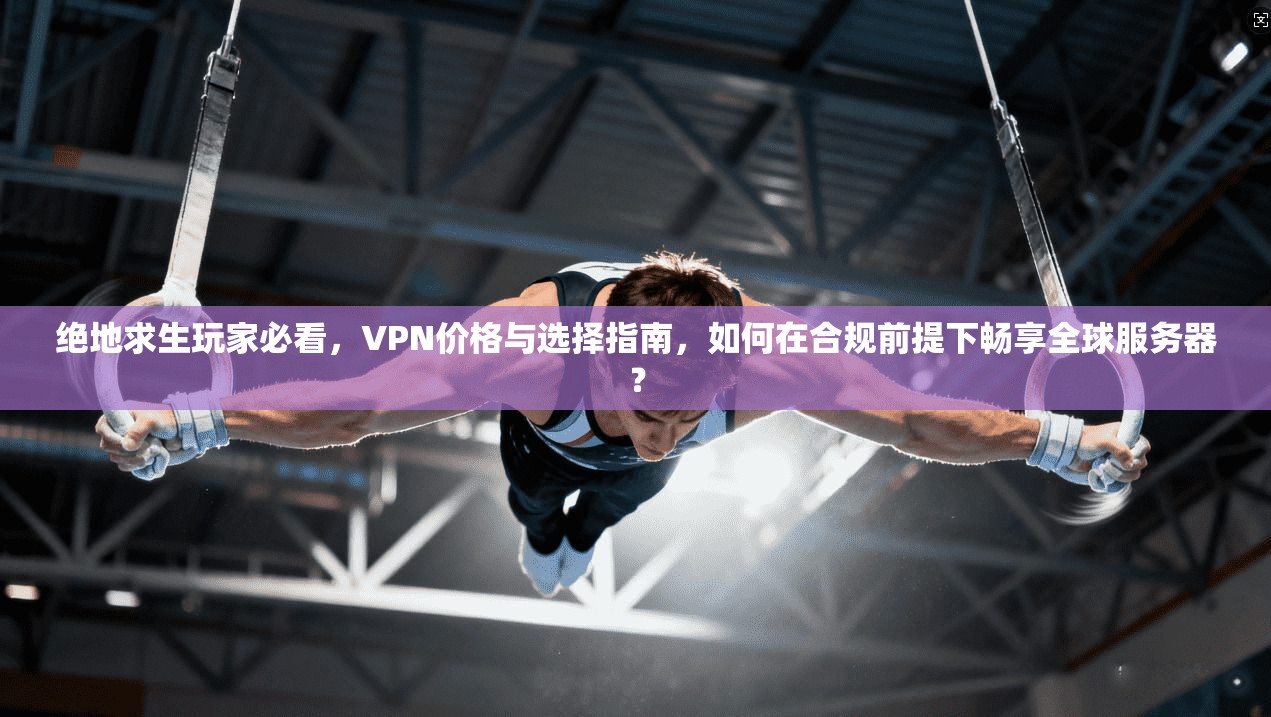绝地求生玩家必看，VPN价格与选择指南，如何在合规前提下畅享全球服务器？