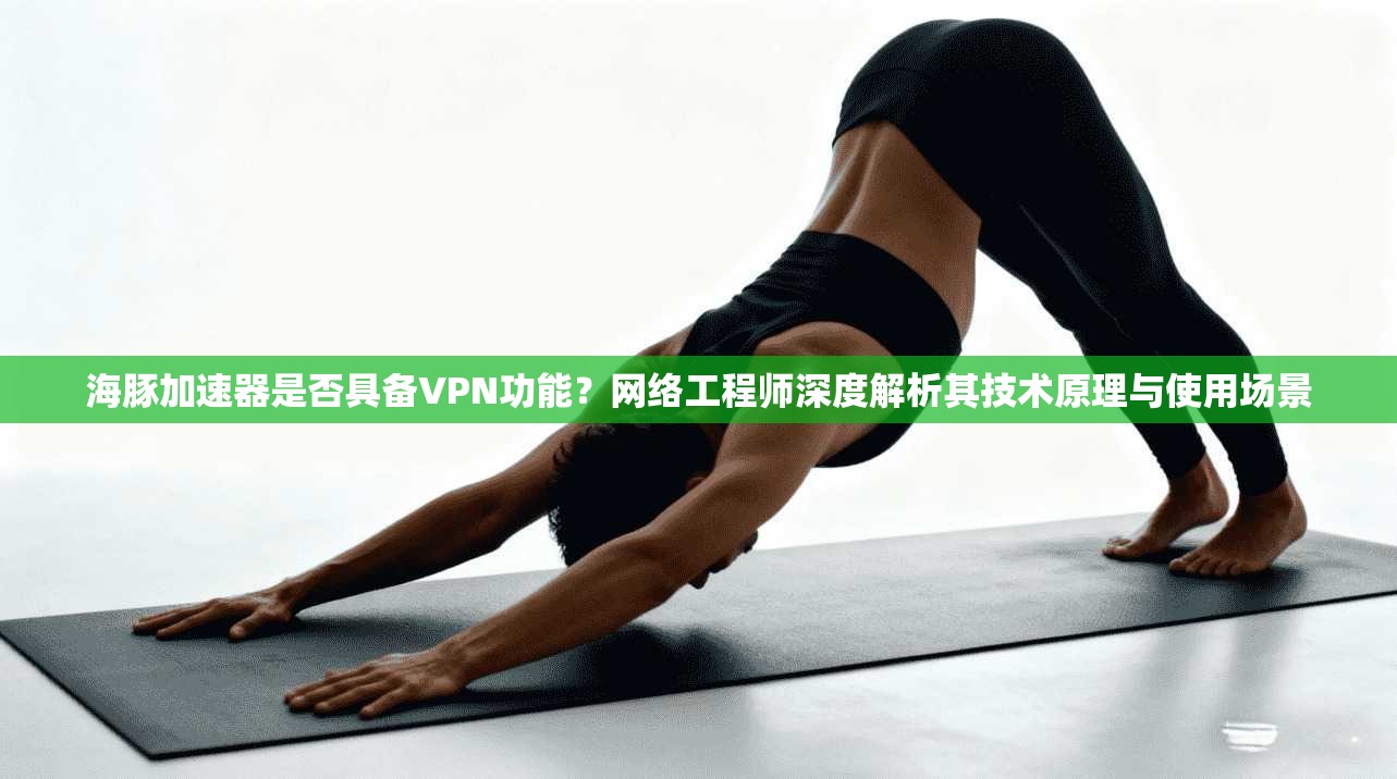 海豚加速器是否具备VPN功能？网络工程师深度解析其技术原理与使用场景