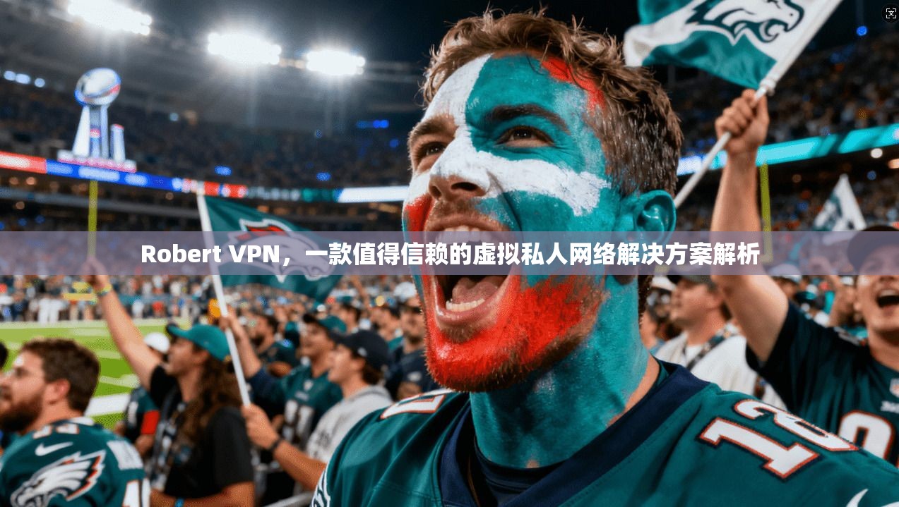 Robert VPN，一款值得信赖的虚拟私人网络解决方案解析