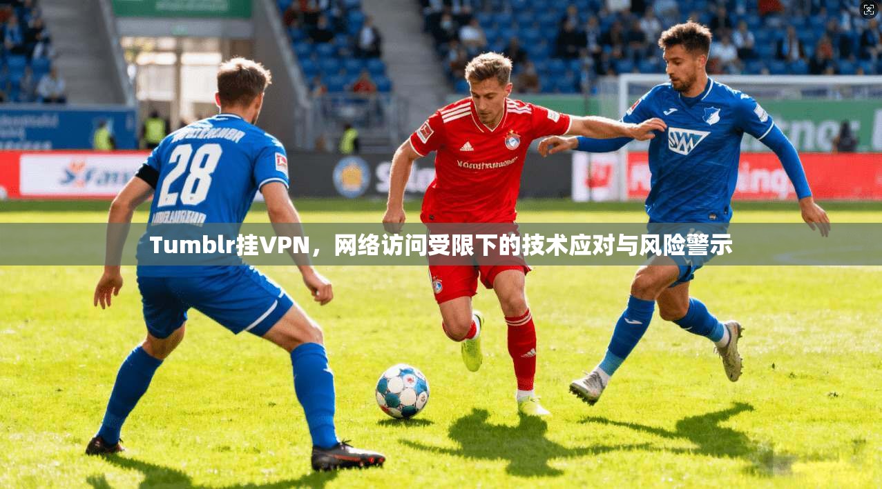 Tumblr挂VPN，网络访问受限下的技术应对与风险警示