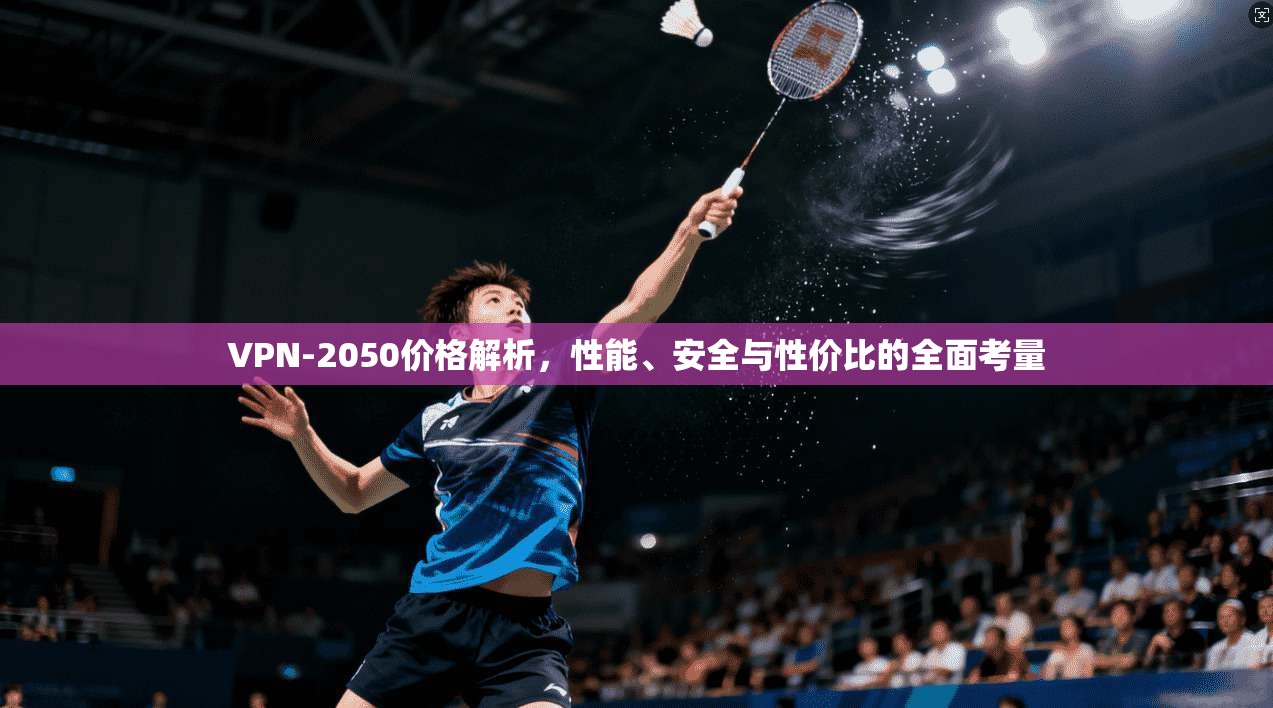 VPN-2050价格解析，性能、安全与性价比的全面考量
