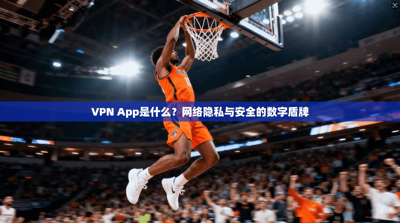 VPN App是什么?网络隐私与安全的数字盾牌
