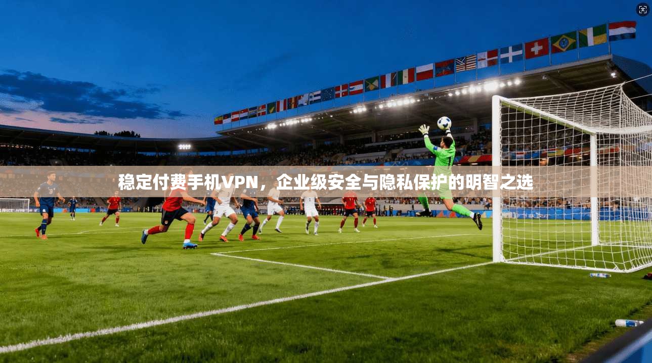 稳定付费手机VPN，企业级安全与隐私保护的明智之选