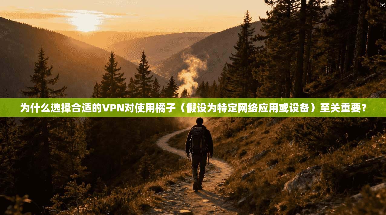 为什么选择合适的VPN对使用橘子(假设为特定网络应用或设备)至关重要?