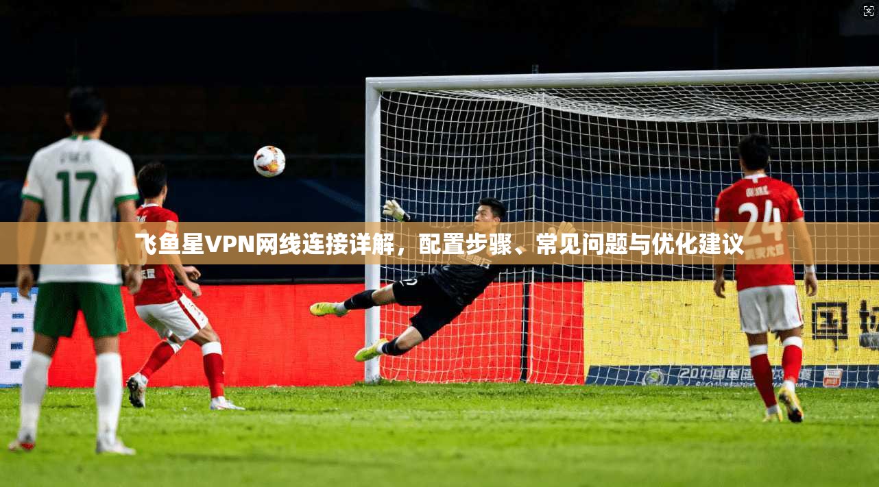 飞鱼星VPN网线连接详解，配置步骤、常见问题与优化建议