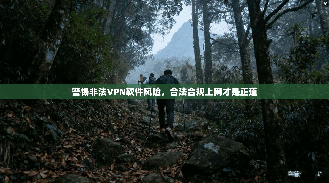 警惕非法VPN软件风险,合法合规上网才是正道