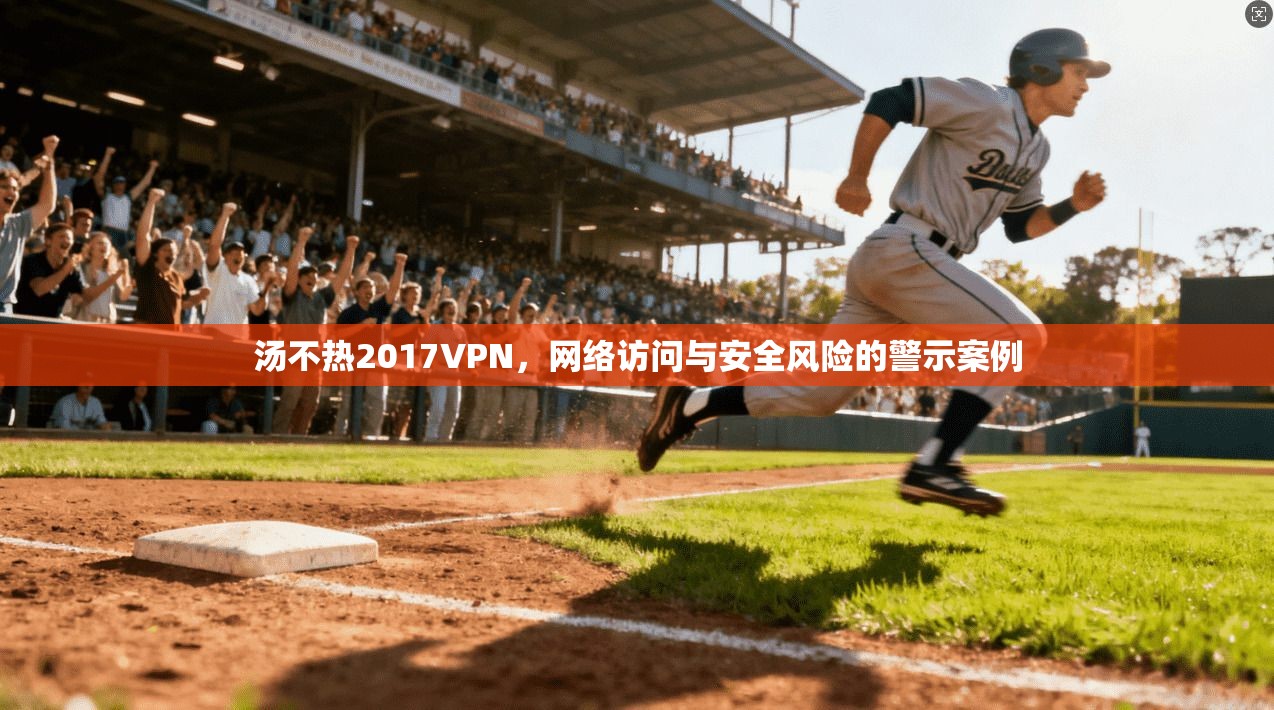 汤不热2017VPN,网络访问与安全风险的警示案例