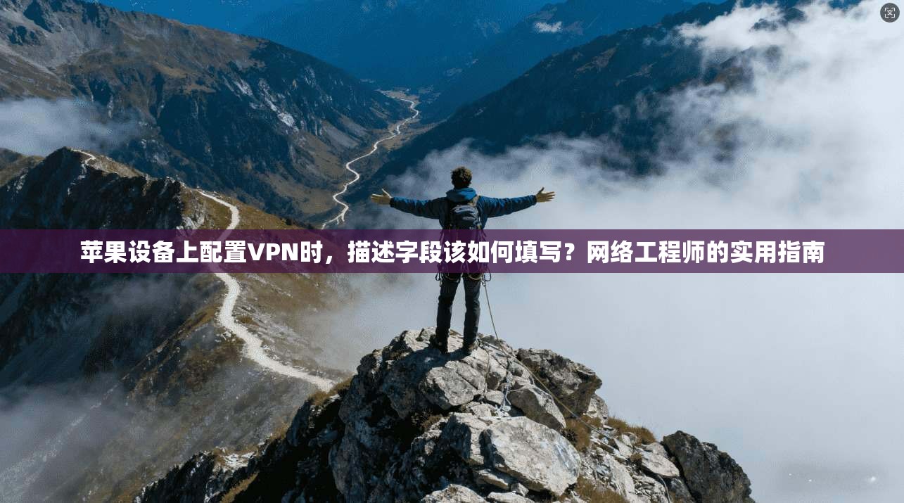 苹果设备上配置VPN时，描述字段该如何填写？网络工程师的实用指南