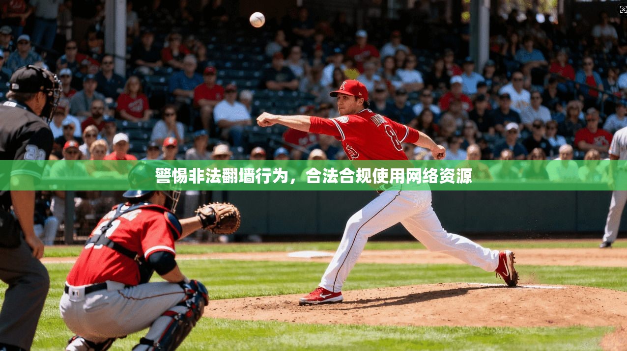 警惕非法翻墙行为,合法合规使用网络资源