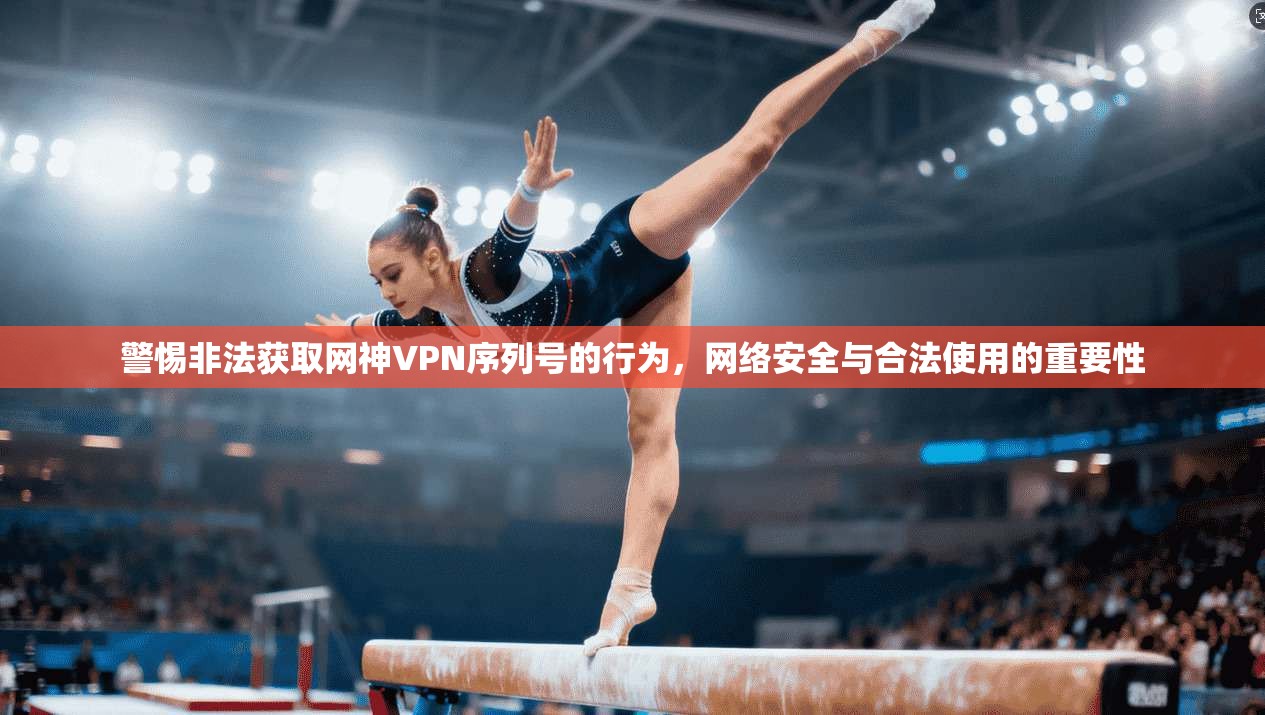 警惕非法获取网神VPN序列号的行为，网络安全与合法使用的重要性