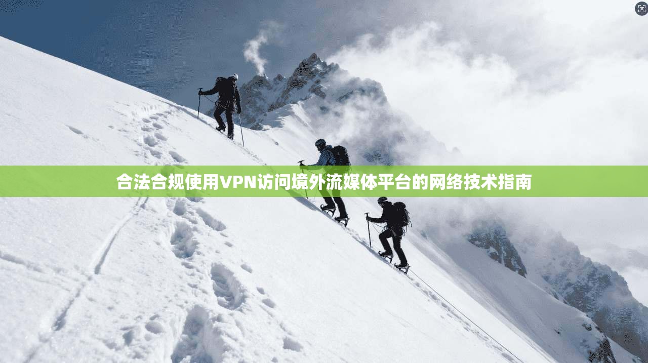 合法合规使用VPN访问境外流媒体平台的网络技术指南
