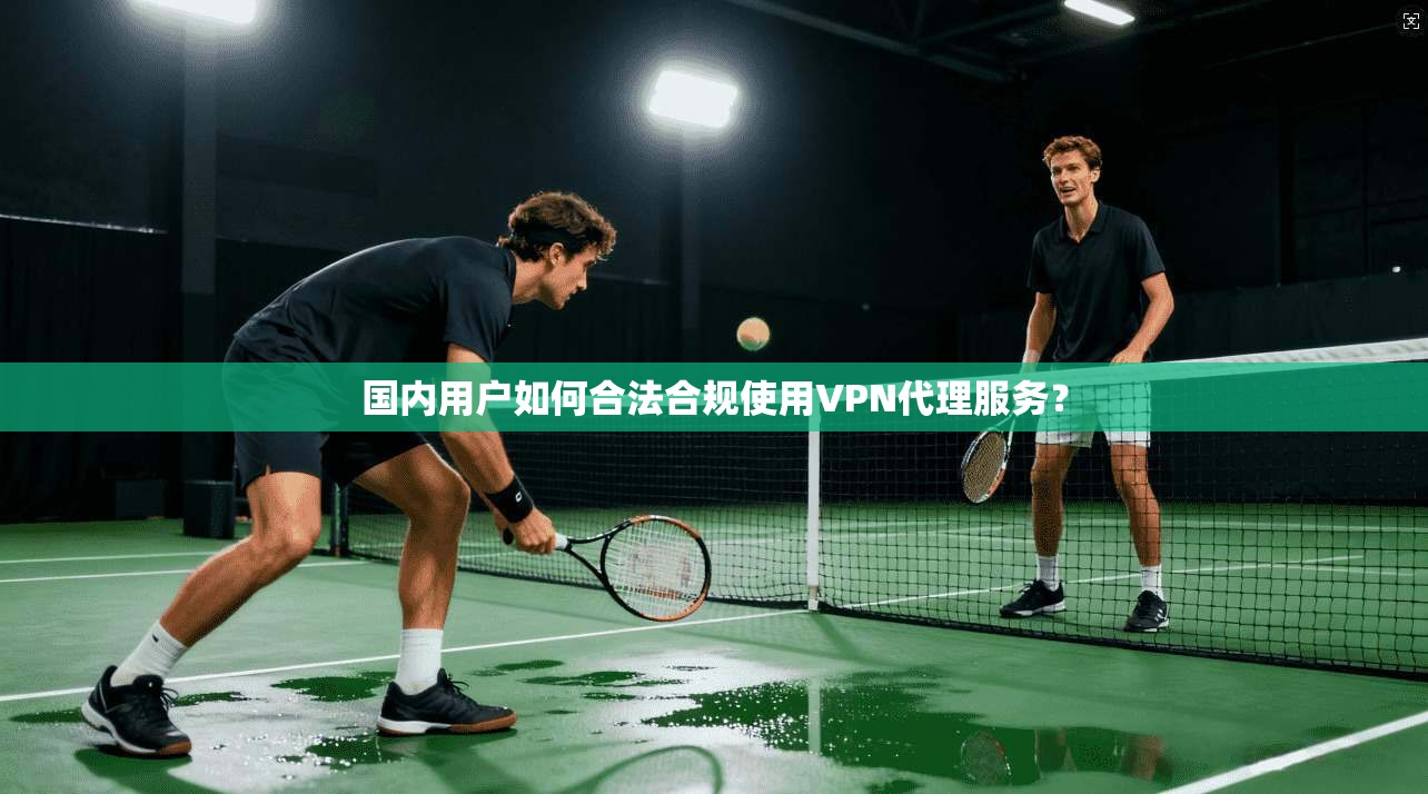 国内用户如何合法合规使用VPN代理服务?