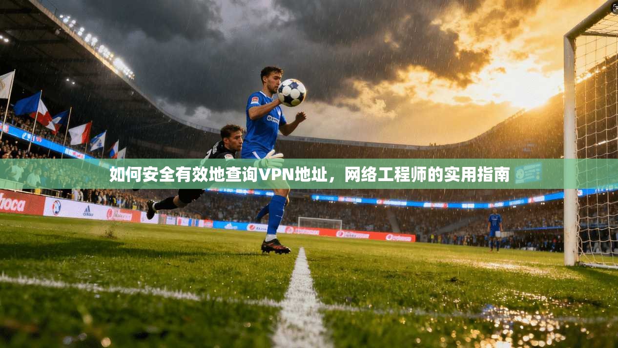 如何安全有效地查询VPN地址，网络工程师的实用指南