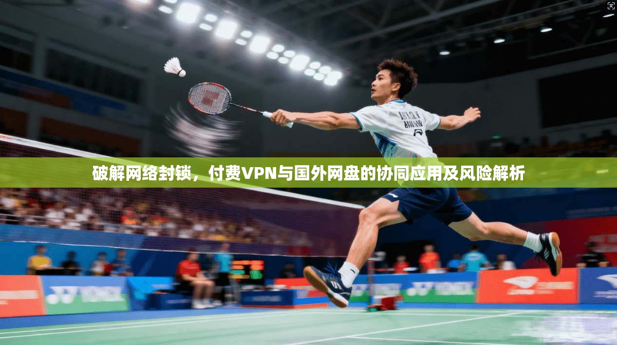 破解网络封锁,付费VPN与国外网盘的协同应用及风险解析